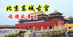 操老妇女逼的毛片中国北京-东城古宫旅游风景区